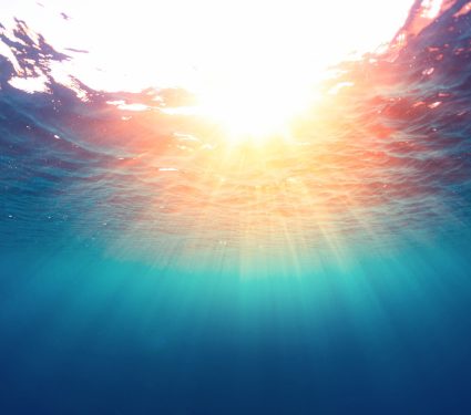 2025/09/Ocean-microbes-1.jpg