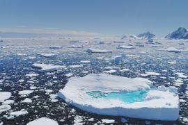 2025/09/sea-ice.jpg