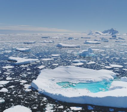 2025/09/sea-ice.jpg