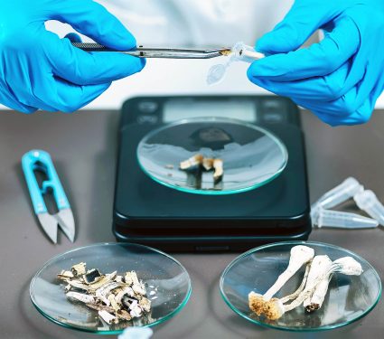 2025/09/psilocybin-therapy_depression-cure_1m.jpg
