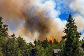2025/09/Wildfires-air-quality.jpg