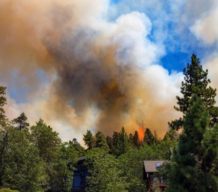 2025/09/Wildfires-air-quality.jpg