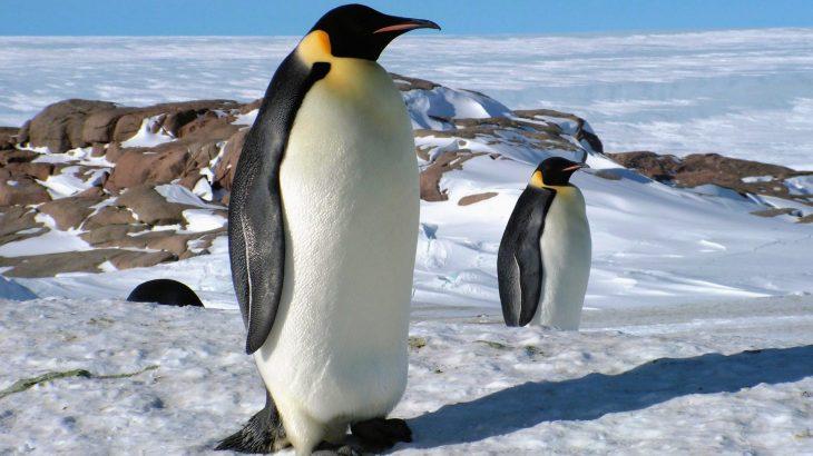 2025/09/Antarctica-warming.jpg
