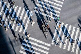 2025/09/Culture-evolution2.jpg