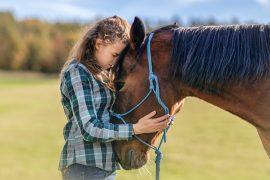 2025/09/Human-horse-bonds.jpg
