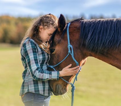2025/09/Human-horse-bonds.jpg