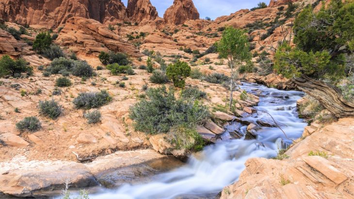 Fish in drylands show early warning signs of climate stress