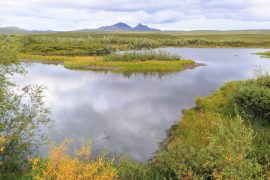 2025/09/Permafrost-thaw-carbon2.jpg