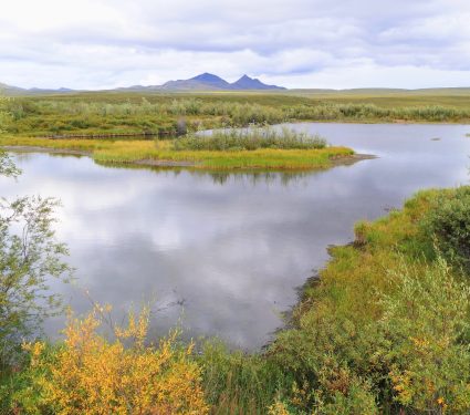 2025/09/Permafrost-thaw-carbon2.jpg