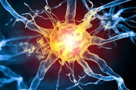 2025/09/Psychedelics-brain-repair.jpg