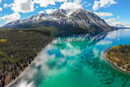2025/09/boreal-region3.jpg