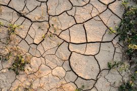 2025/09/Ancient-humans-climate.jpg