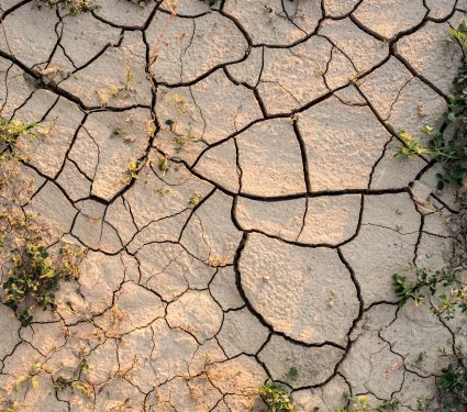 2025/09/Ancient-humans-climate.jpg