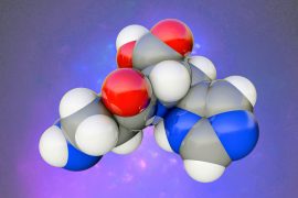 Dipeptides.jpg