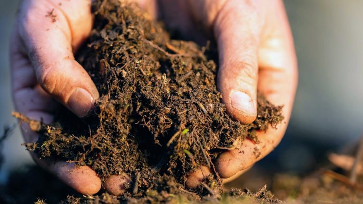Hungry microbes stop warming soils from releasing extra carbon