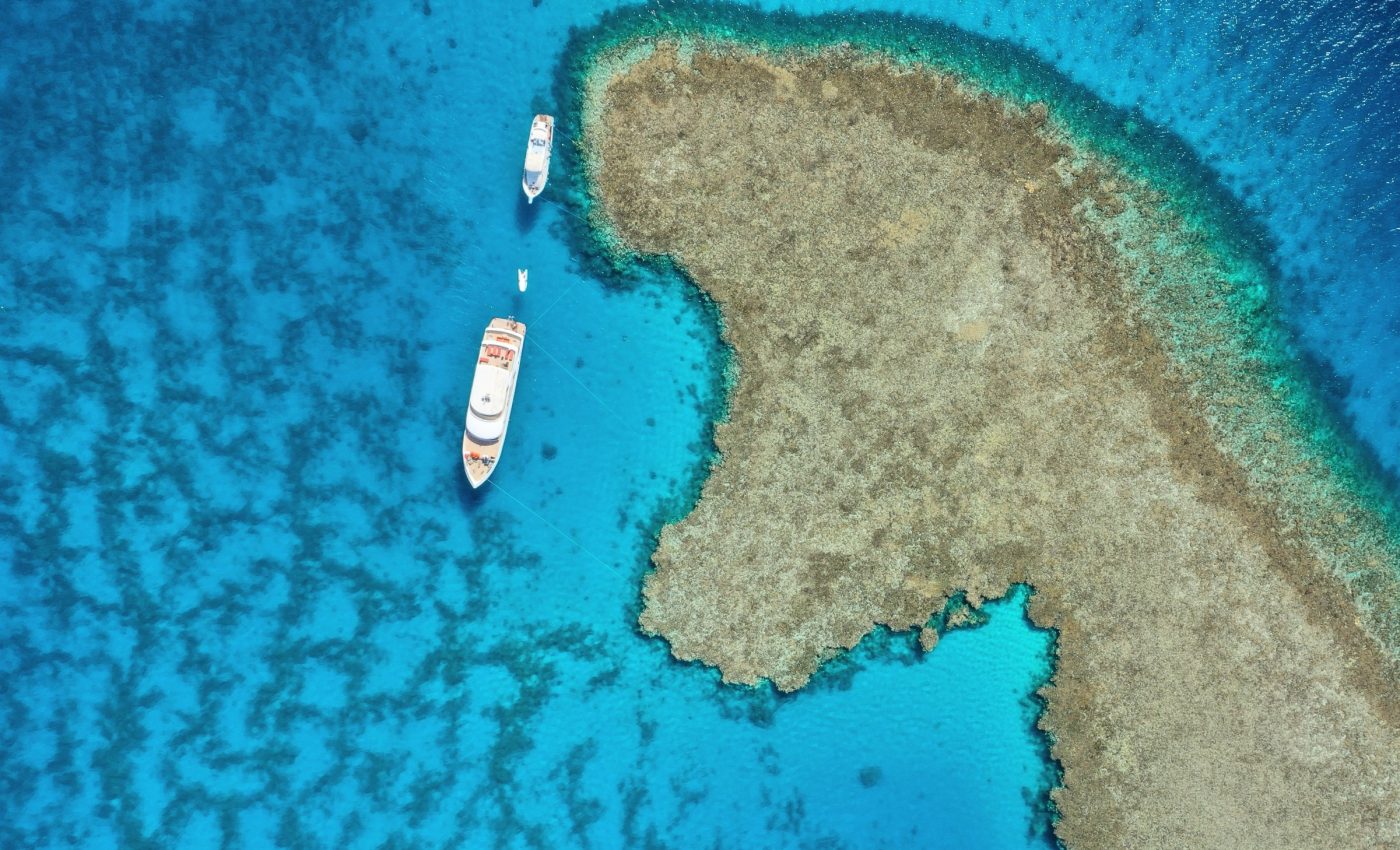 High Seas Treaty marks new era of global ocean protection
