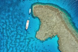 2025/09/High-Seas-Treaty.jpg
