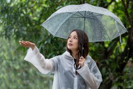 2025/09/summer-rain.jpg