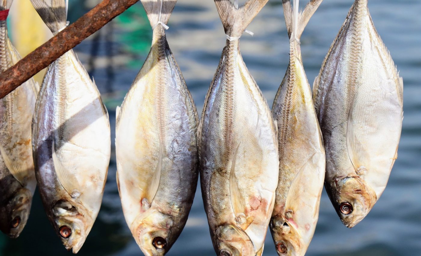 Dried fish is an overlooked path to food security in Africa