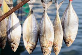 2025/09/Dried-fish-1.jpg