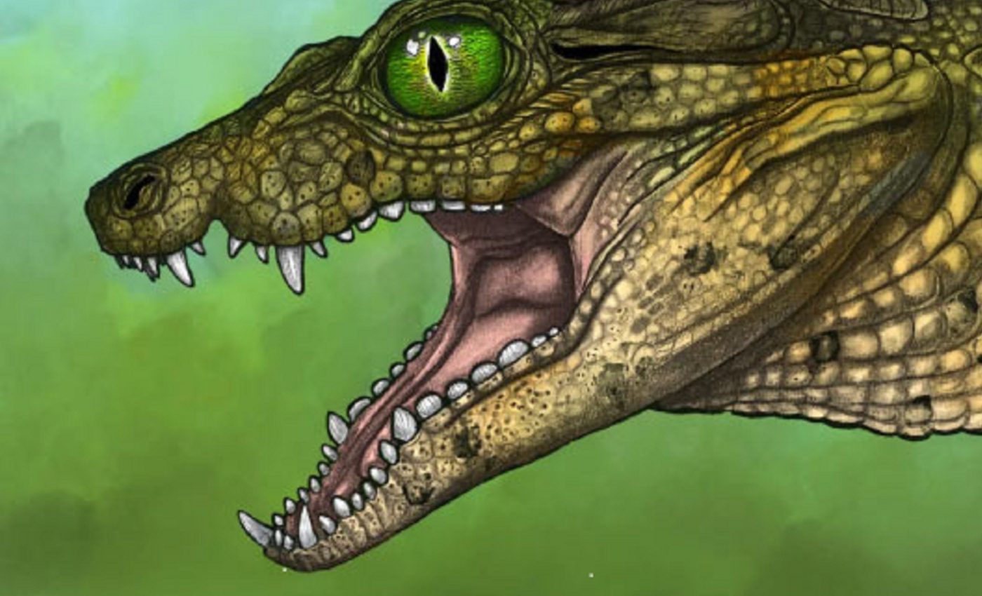 Tiny fossil reveals an unknown species of prehistoric crocodile