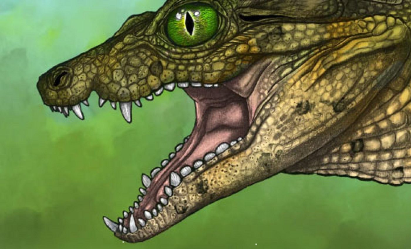 Tiny fossil reveals an unknown species of prehistoric crocodile