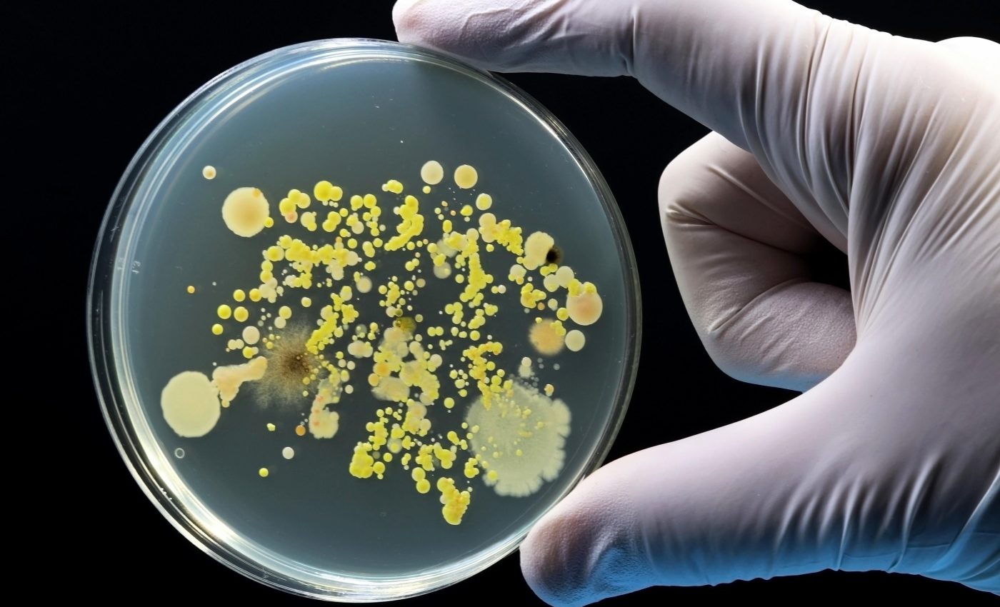 Hospitals face mounting crisis as superbug infections spread unchecked