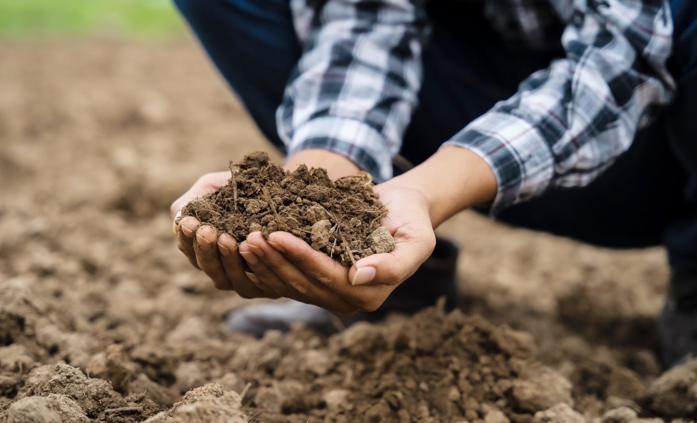 Biochar supercharges soil carbon storage in grazing lands