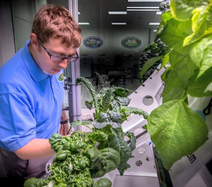 2025/09/Space-crops.jpg