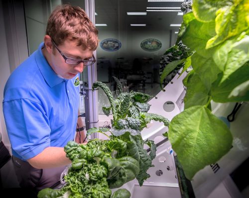 2025/09/Space-crops.jpg