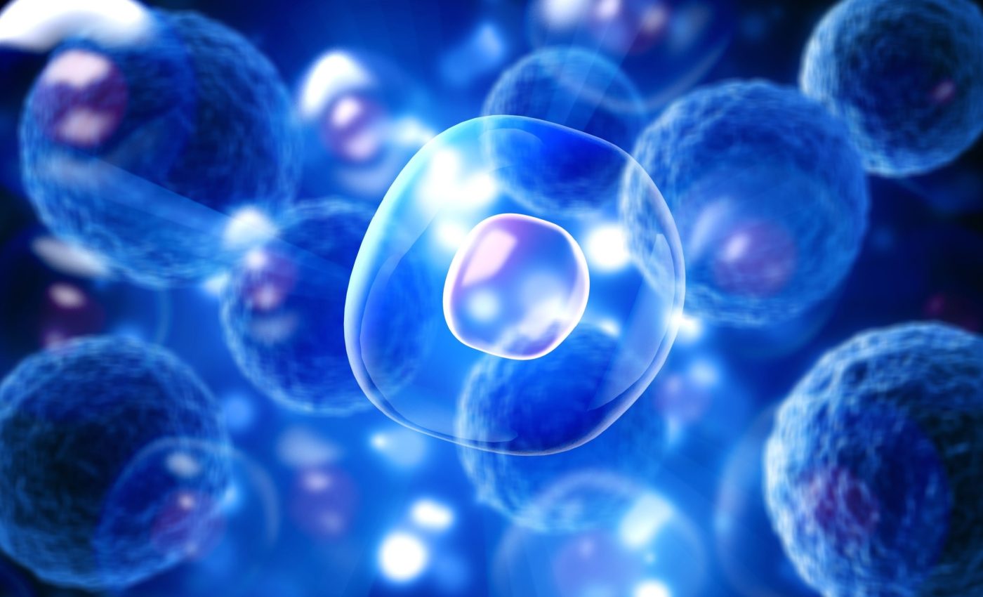 Cells surprise scientists with lighter-than-expected nuclei