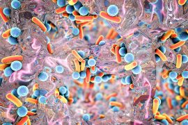 Biofilm,Of,Antibiotic,Resistant,Bacteria.,Rod-shaped,And,Spherical,Bacteria.,Escherichia