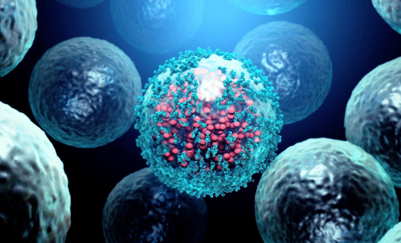 Immune system holds the key to why some ALS patients live longer
