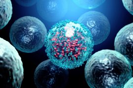 2025/10/ALS-immune-system.jpg