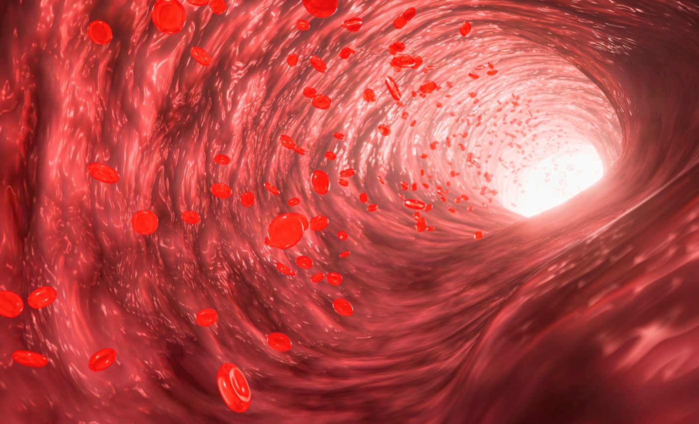 How do pollution particles travel through the body? Scientists finally have the answer