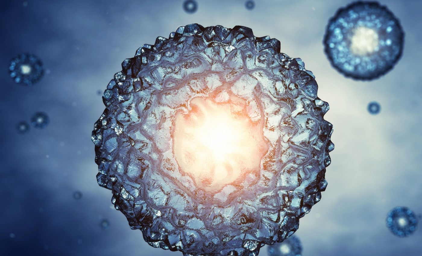 Human embryo development mapped daily for the first time