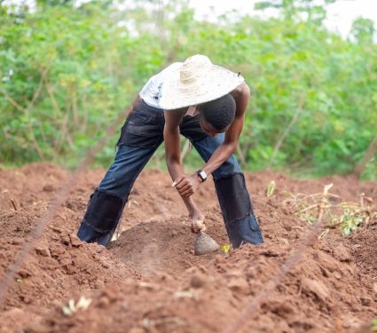 2025/10/Ethiopia-soil-372.jpg