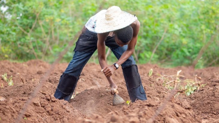 2025/10/Ethiopia-soil-372.jpg