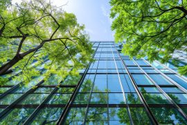 2025/10/Urban-tree-microbes.jpg