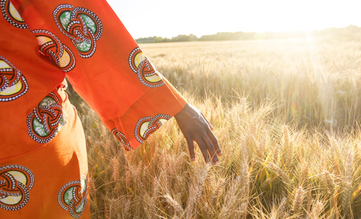 How Africa can grow more food without more emissions