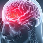 2025/10/shingles-vaccine-brain-health-study.jpg