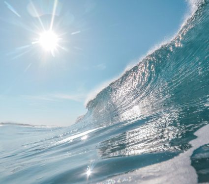 2025/10/Marine-heatwaves-carbon.jpg