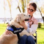 2025/10/Service-dogs-veterans.jpg
