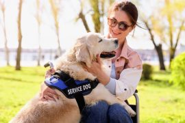 2025/10/Service-dogs-veterans.jpg