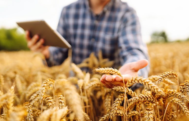 2025/10/Wheat-gene-map.jpg