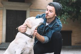 2025/10/Dogs-talk.jpg
