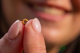 2025/10/gold-bead-jerusalem-ancient-discovery.jpg