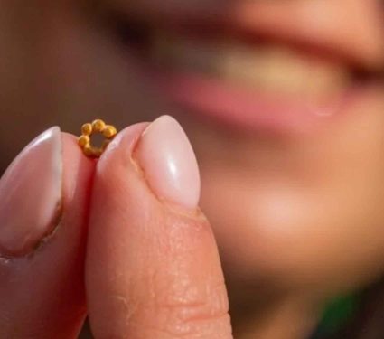 2025/10/gold-bead-jerusalem-ancient-discovery.jpg