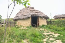 2025/10/Neolithic-community.jpg