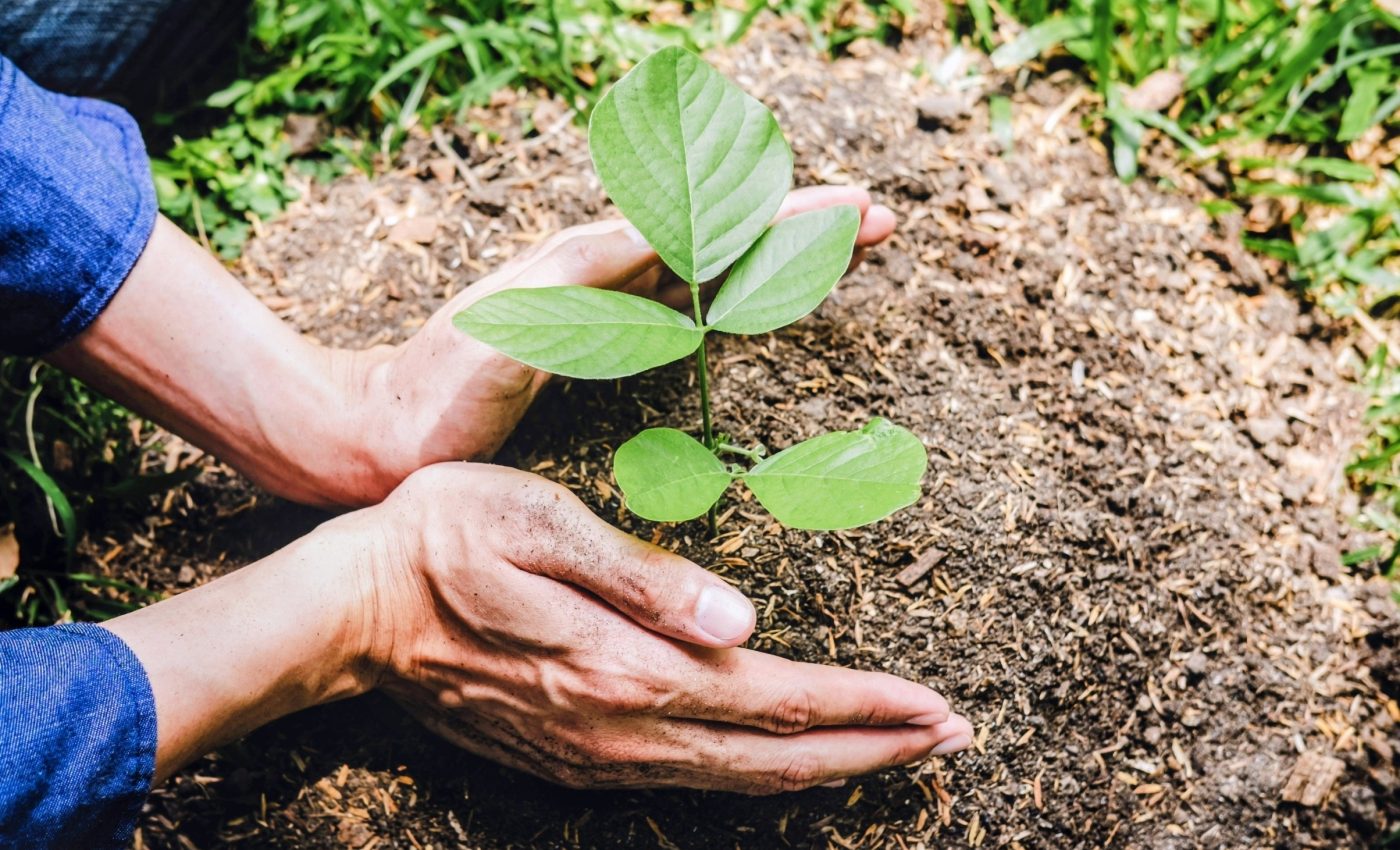 Not all carbon credit projects are cooling the planet